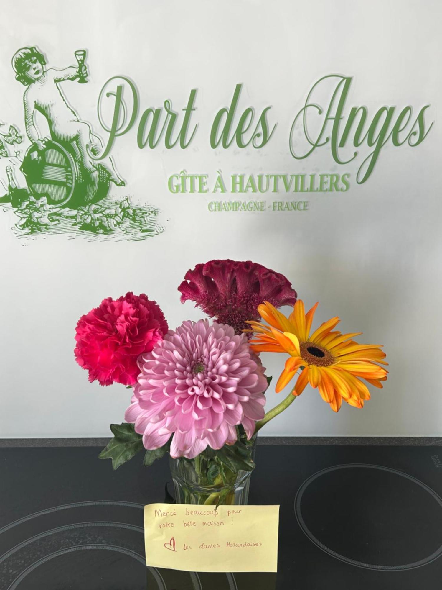 Part Des Anges - Gite הוטווילר מראה חיצוני תמונה